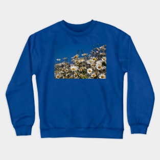 Blue sky and daisies Crewneck Sweatshirt